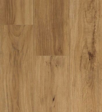 BLACKBUTT