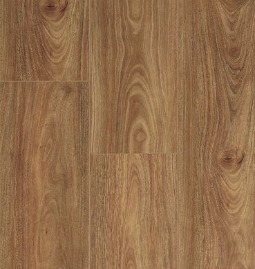 SPOTTED GUM