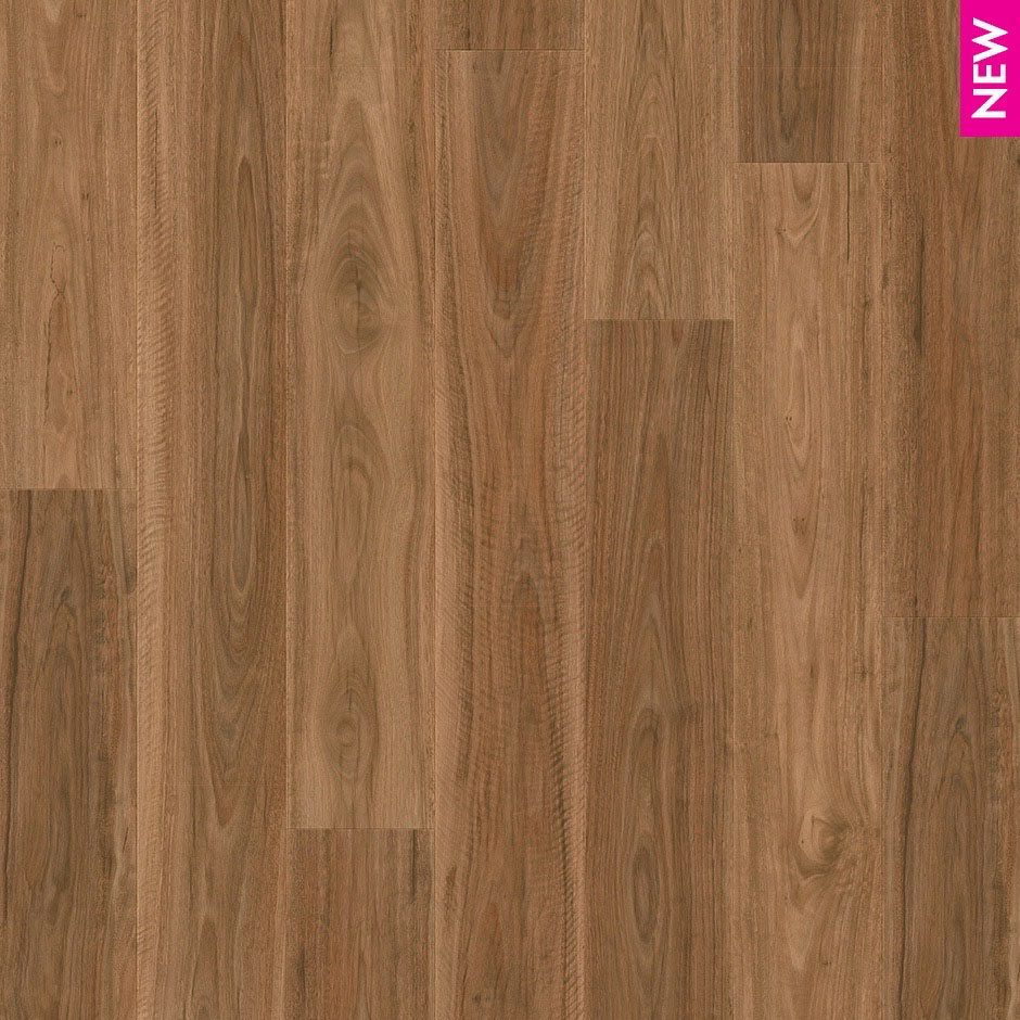 SPOTTED GUM