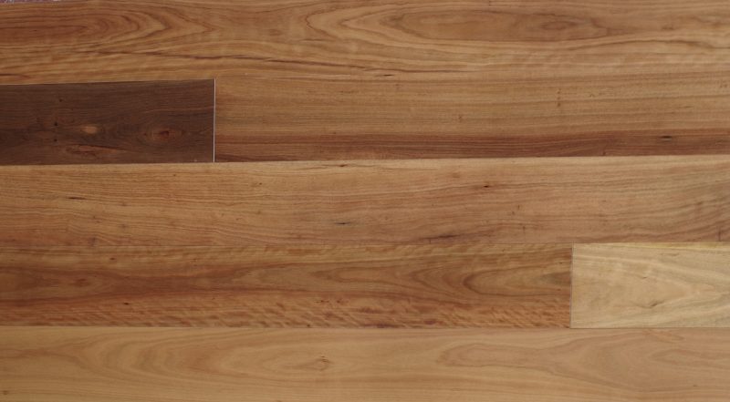 Grey Ironbark