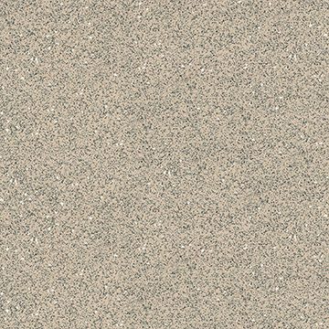 Sandy Beige Chip