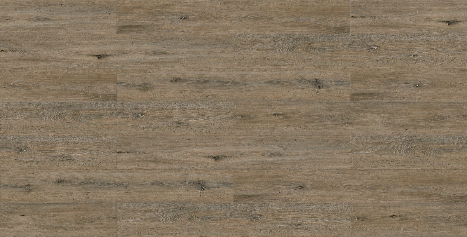 Black Oak