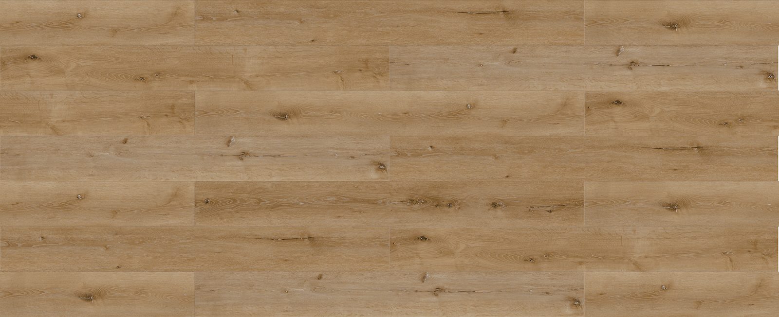 European Oak