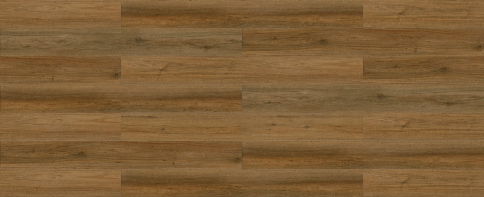 NSW Spotted Gum