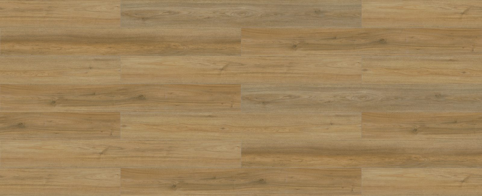 Spotted Gum