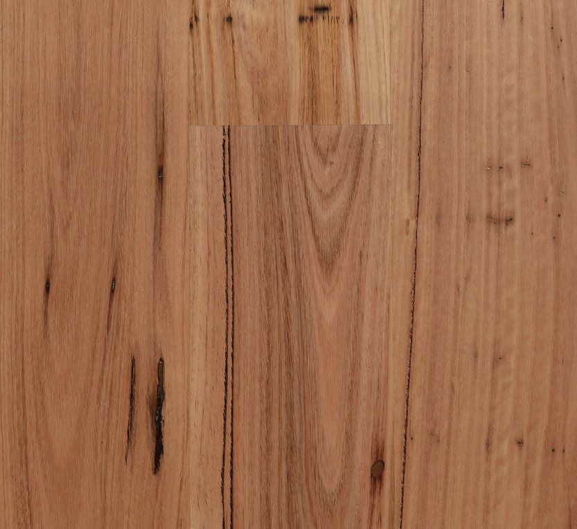 Blackbutt - Rustic (180mm)