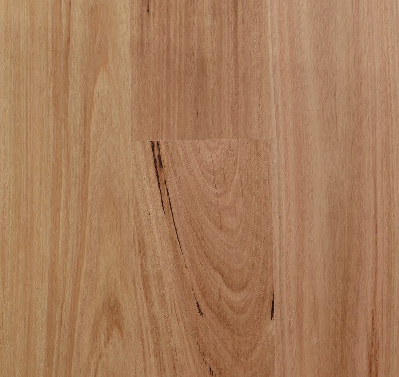 Blackbutt - Std & Better (180mm)