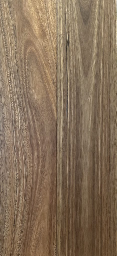 NSW Spotted Gum