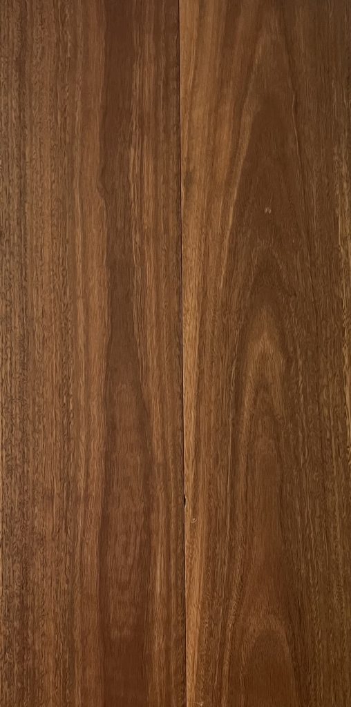 QLD Spotted Gum