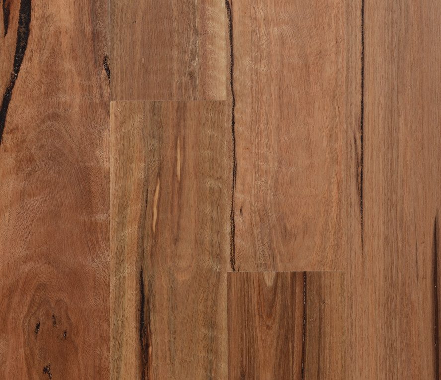 Spotted Gum - Rustic (136mm)
