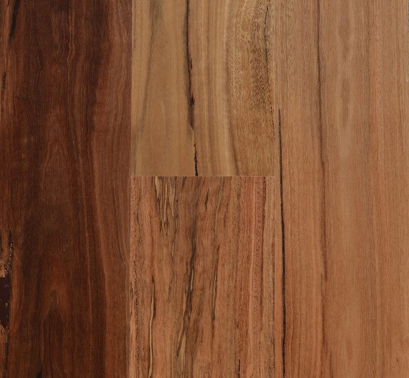Spotted Gum - Rustic (180mm)