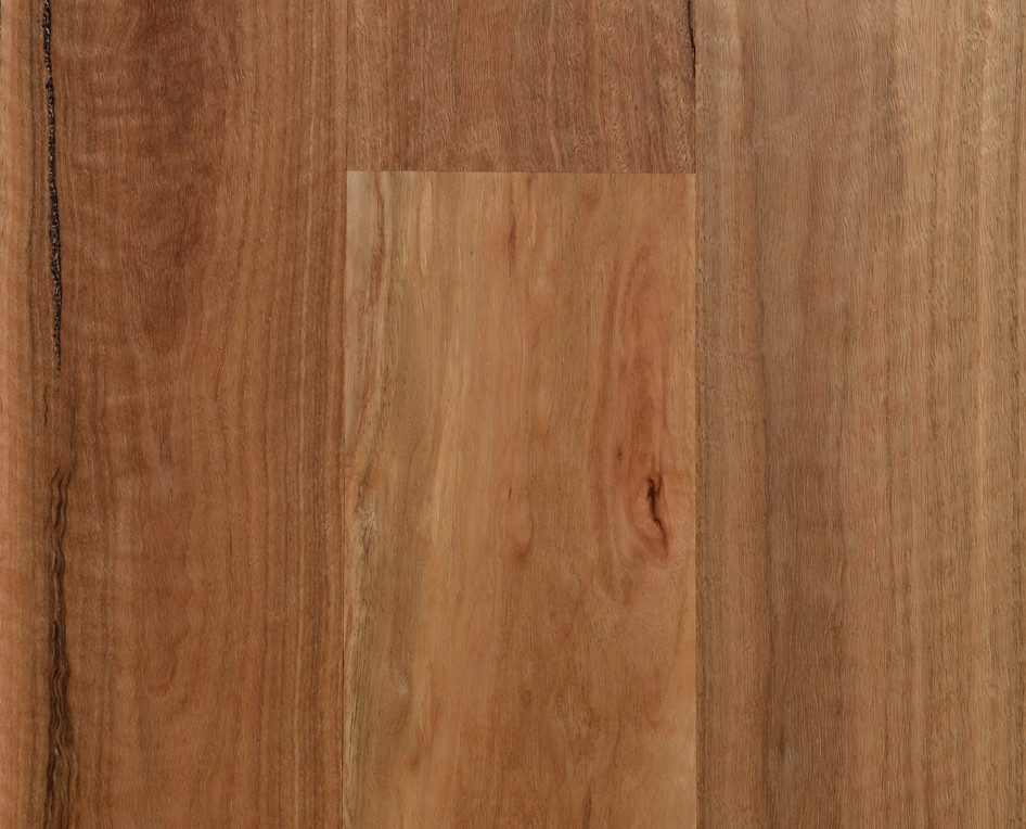 Spotted Gum - Std & Better (180mm)