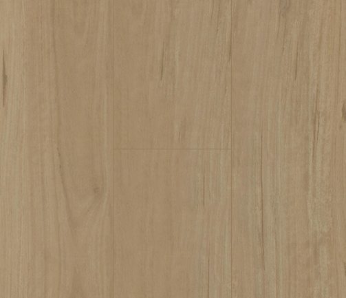 Coastal Blackbutt